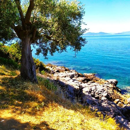 Villa Leonidas Greecefiloxenia Lefokastro Exteriör bild