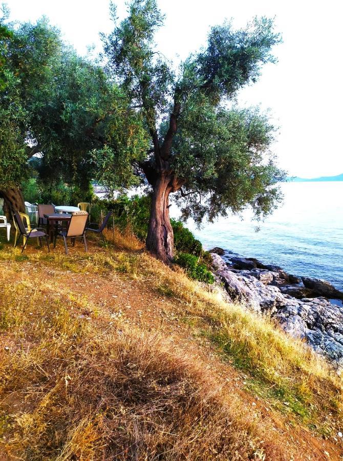 Villa Leonidas Greecefiloxenia Lefokastro Exteriör bild