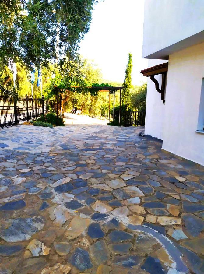 Villa Leonidas Greecefiloxenia Lefokastro Exteriör bild