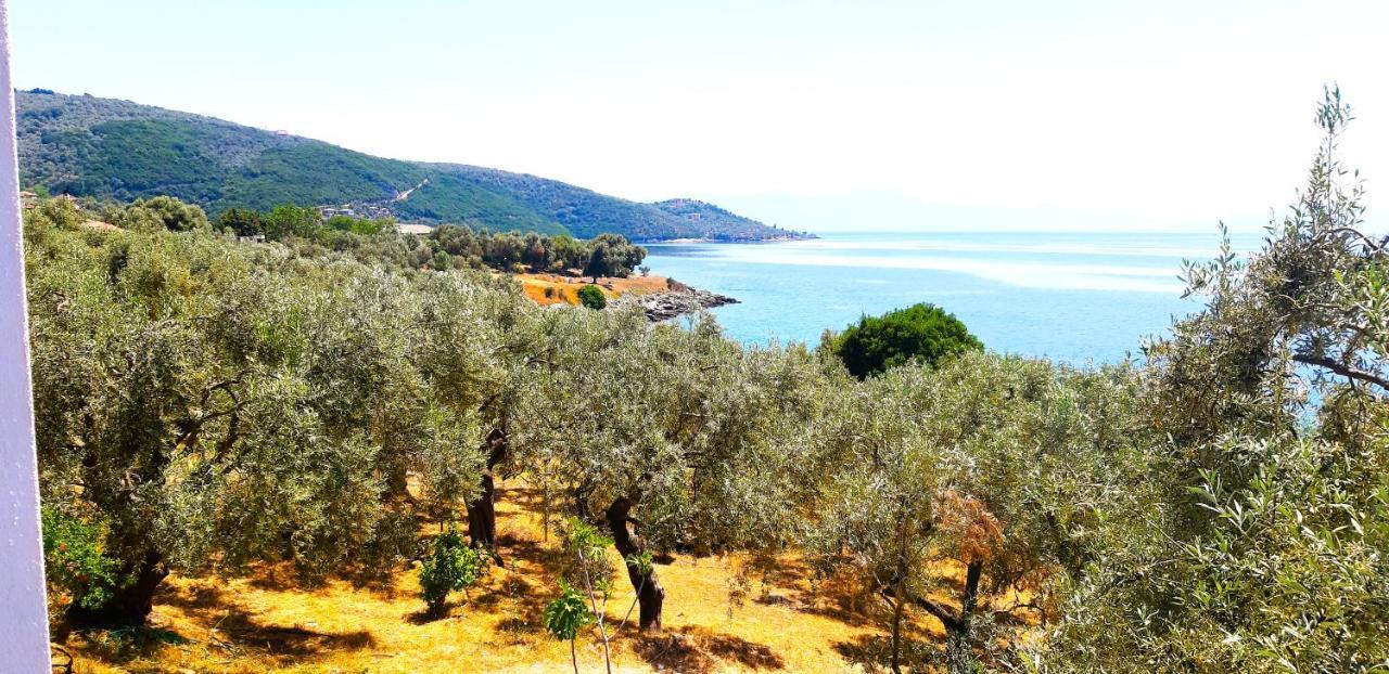 Villa Leonidas Greecefiloxenia Lefokastro Exteriör bild