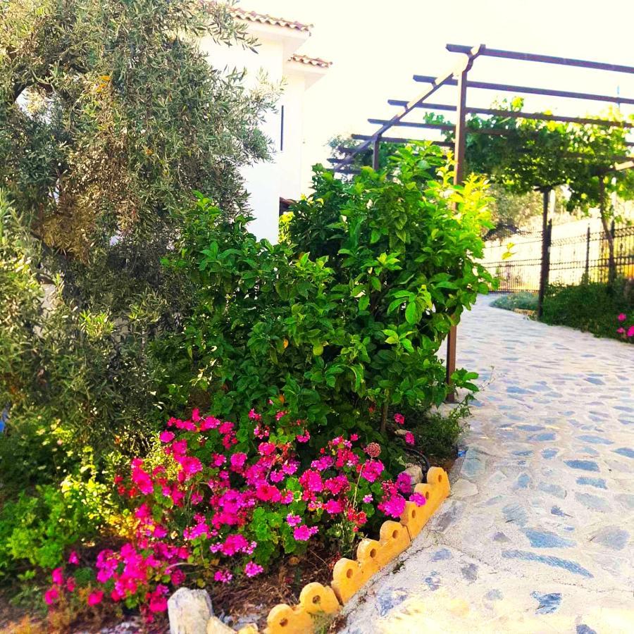 Villa Leonidas Greecefiloxenia Lefokastro Exteriör bild