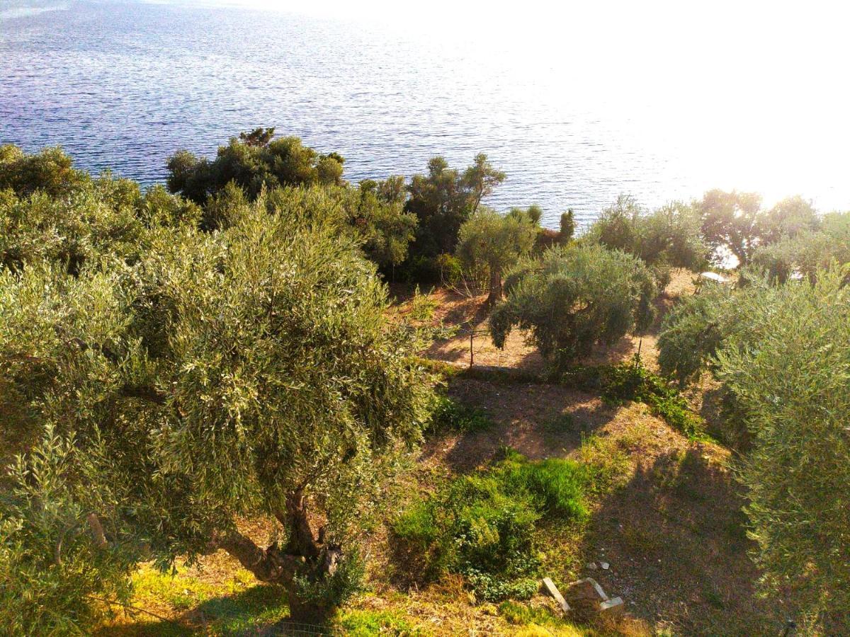Villa Leonidas Greecefiloxenia Lefokastro Exteriör bild