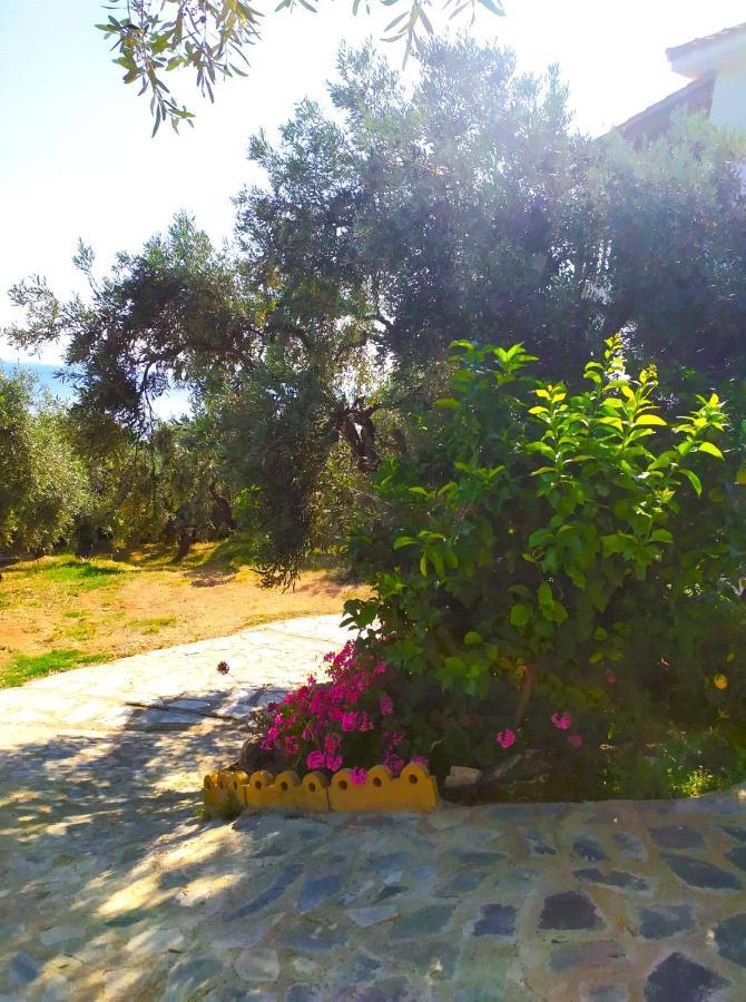 Villa Leonidas Greecefiloxenia Lefokastro Exteriör bild